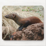 Bronx Zoo 210 copy Mouse Mats