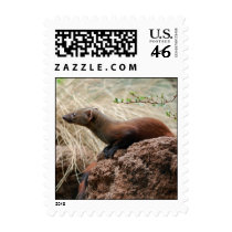 Bronx Zoo 210 copy postage by SilenasImages Bronx Zoo 210 copy postage