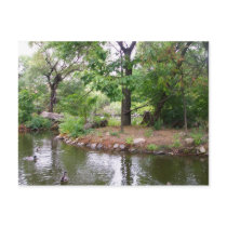 Bronx Zoo Postcard
