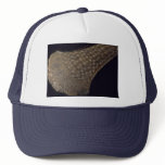 Bronze Age axe, 3500 B.C.. Hat