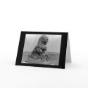 Bronze Animal Figure in Peking, China 1898 cards