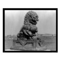 Bronze Animal Figure in Peking, China 1898 posters