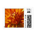 Bronze Beauty postage by erin_kathleen Bronze Beauty postage