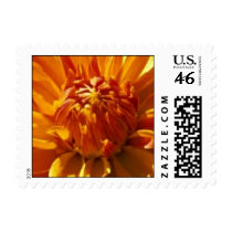 Bronze Beauty postage