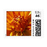 Bronze Beauty Postage Stamp