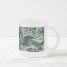 Bronze Frog in Prayer Plant mug