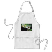 Bronze Frog Pair Reflect Aprons