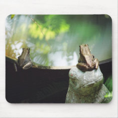 Bronze Frog Pair Reflect mousepad