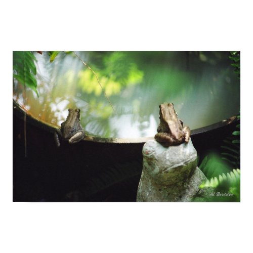 Bronze Frog Pair Reflect print