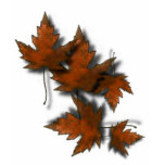 Bronze Maple Leaves Tee Shirts