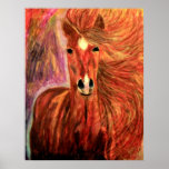 BRONZE STAR HORSE BY DEBBIE DAVIDSOHN POSTERS GIFT posters