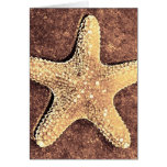 Bronze Starfish Card