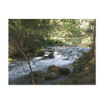 Brook in Alley Springs, Missouri