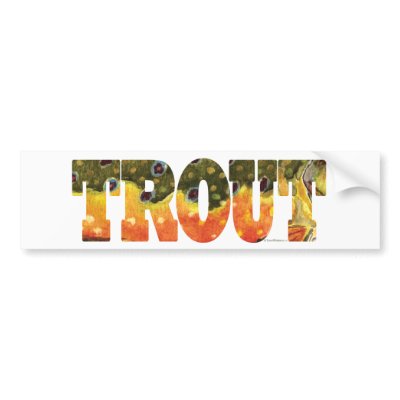 Brook Trout Art Bumper Stickers by TroutWhiskers