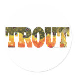 Brook Trout Art Round Stickers