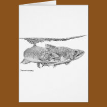 Brook Trout cards