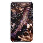 Brook Trout Ipod Touch Case