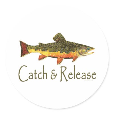 Brook Trout, Catch & Release Sticker by TroutWhiskers