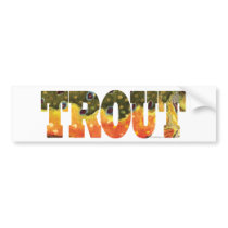 Brook Trout Design - Fish, Fishing bumper stickers