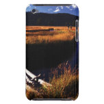 Brook Trout Fish Scales Ipod Touch Cases