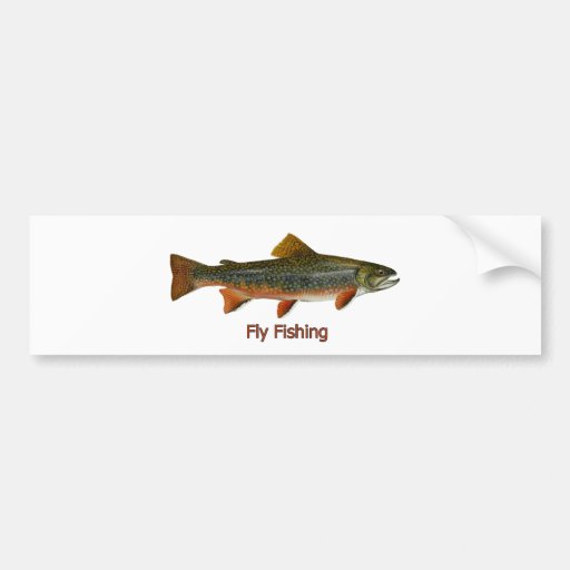 Brook Trout Fly Fishing Logo Bumper Sticker Zazzle
