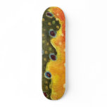 Brook Trout Fly Fishing skateboards