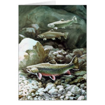 brook trout greeting card