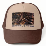 Brook Trout