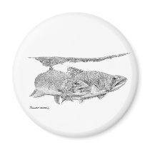Brook Trout magnets