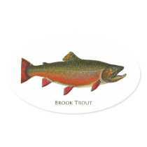 Brook Trout Male (Spawning Phase) stickers
