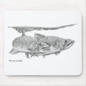 Brook Trout mousepads