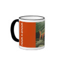 Brook Trout mugs