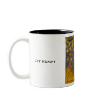 Brook Trout Mug mugs