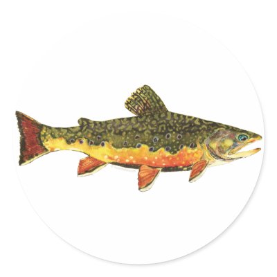 Brook Trout Painting Stickers by TroutWhiskers