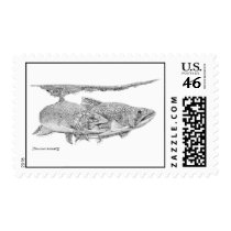 Brook Trout postage