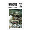Brook Trout   postage