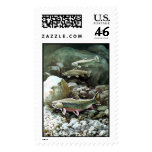 Brook Trout   Stamps