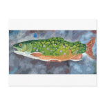 Brook Trout Post Card