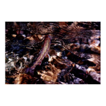 Brook Trout posters by brooktroutdesign Brook Trout posters