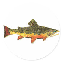 Brook Trout, Salvelinus Fontinalis stickers