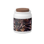 Brook Trout Scales Candy Jar