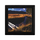 Brook Trout Scales Keepsake Boxes