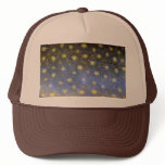 Brook Trout Scales