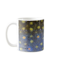 Brook Trout Scales Mugs