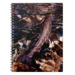 Brook Trout Scales Spiral Note Book