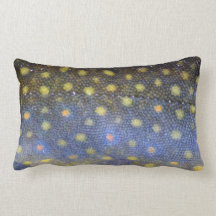 Brook Trout Scales Photography Pillow