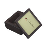 Brook Trout Scales Premium Trinket Box