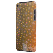 Brook Trout Skin IPod Touch Case