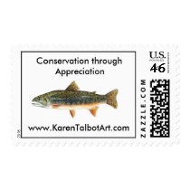 Brook Trout Stamp