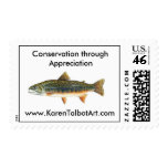 Brook Trout Stamp